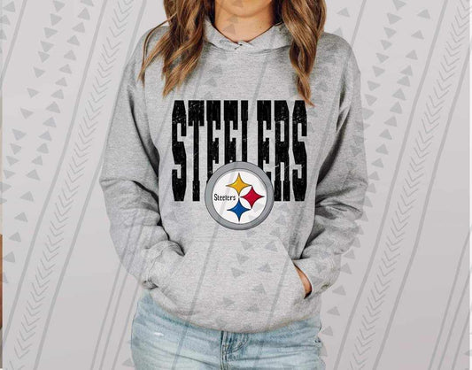 Pro Football Big Steelers