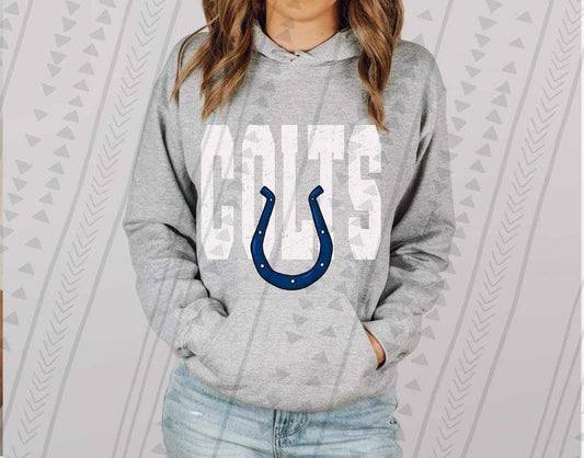 Pro Football Big Colts