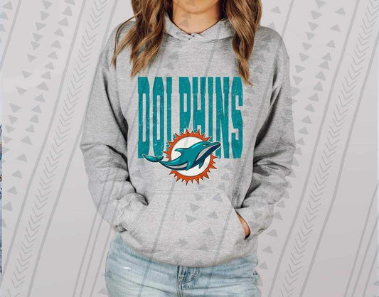 Pro Football Big Dolphins